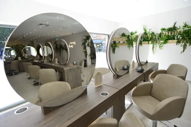 Salon with chairs and mirrors on the wall, plants on the right side